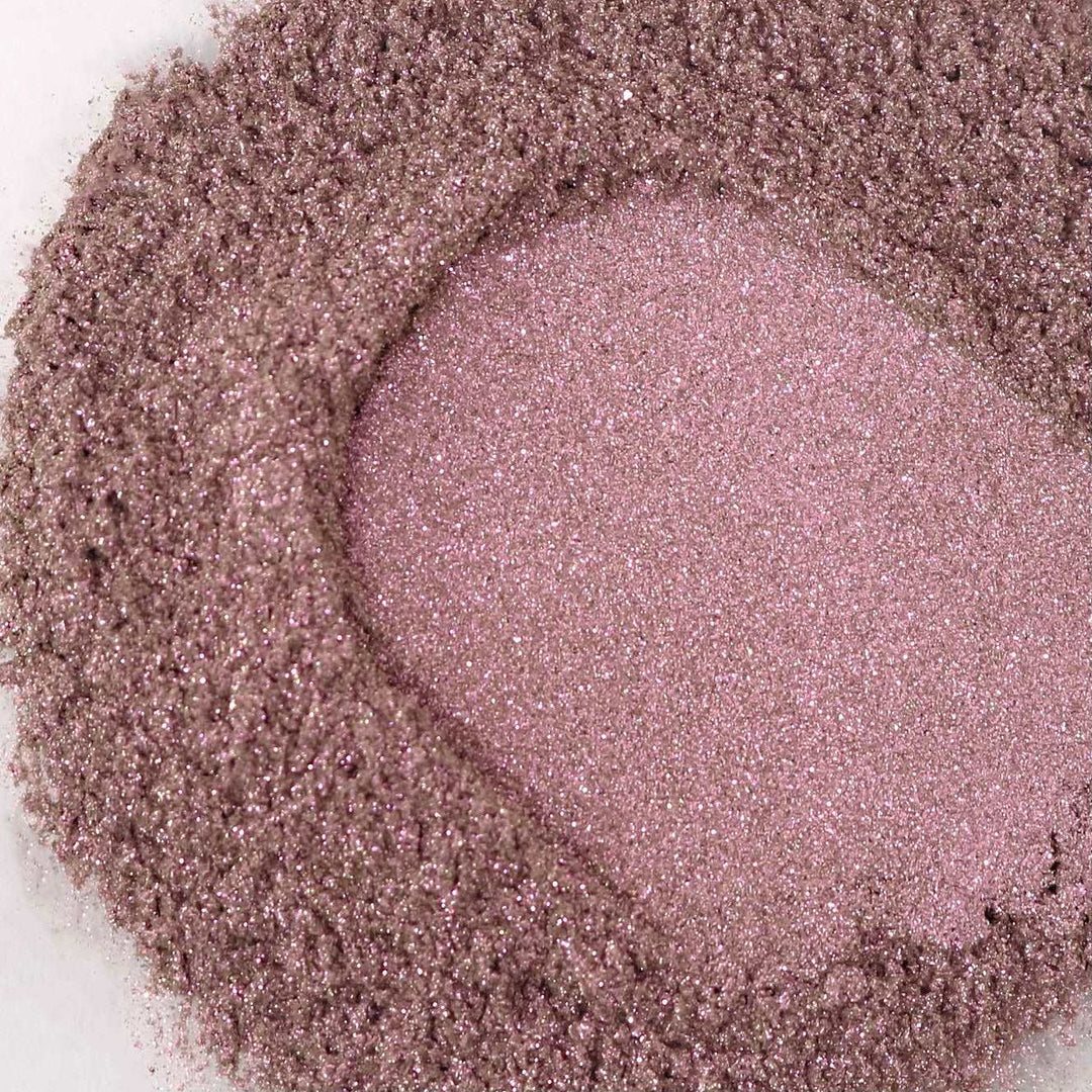 Eye Pigments - Minimalist Collection - Didi Beauty Ng 